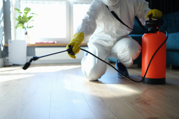 Reliable Biohazard Cleanup contractor in Brandon, FL by Trauma Clean Pros